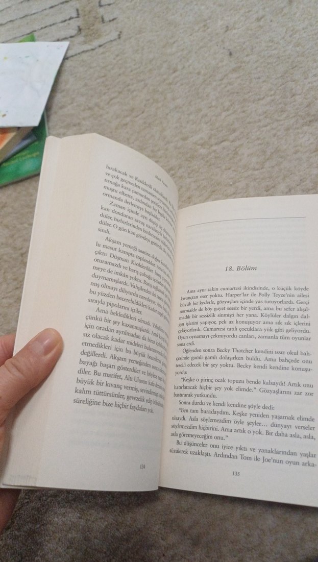 Mark Twain - Tom Sawyer'ın Maceraları - Görsel 4