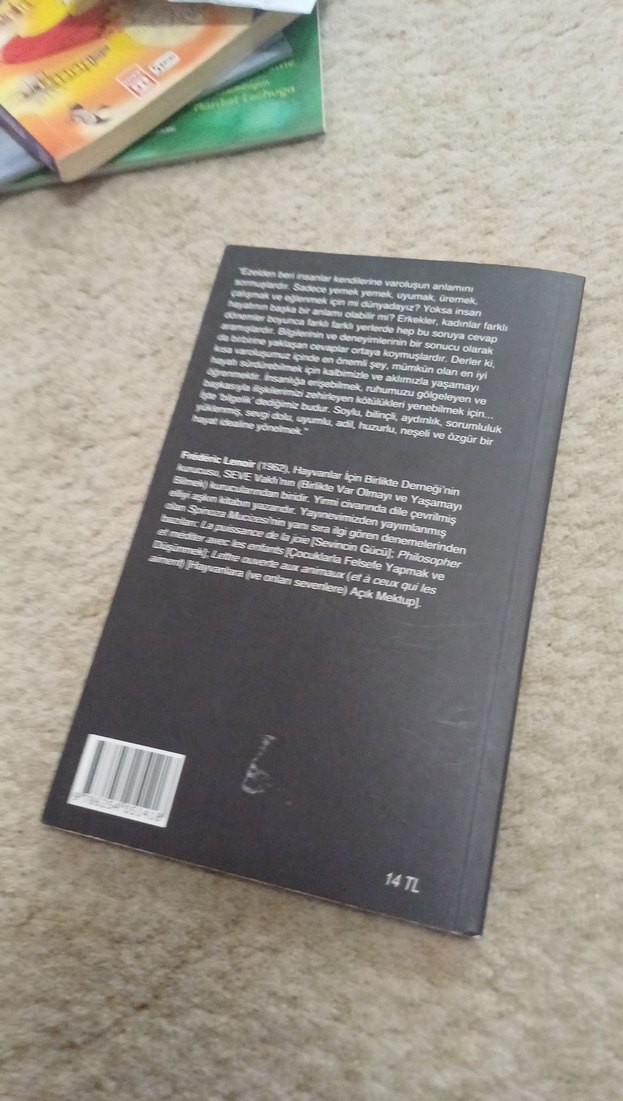 Bilgelik - Frédéric Lenoir - Görsel 2