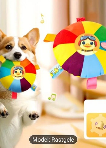 Renkli Köpek Oyuncağı Model Rastgele