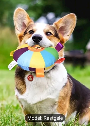 Beden Renkli Köpek Oyuncağı Model Rastgele