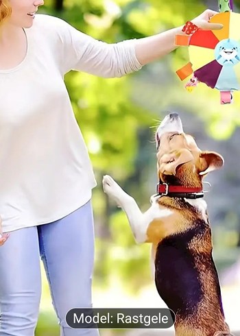 Beden Renk Renkli Köpek Oyuncağı Model Rastgele