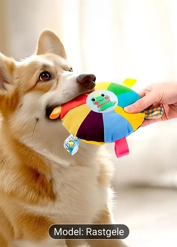 Renkli Köpek Oyuncağı Model Rastgele - Görsel 5