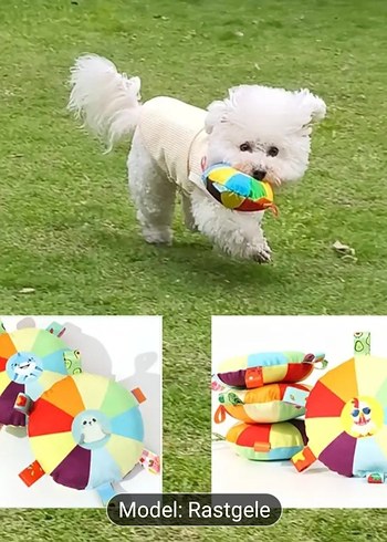 Renkli Köpek Oyuncağı Model Rastgele - Görsel 6