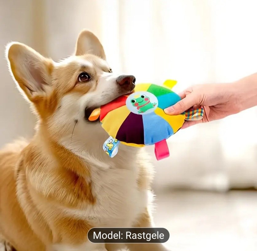Renkli Köpek Oyuncağı Model Rastgele - Görsel 5
