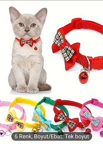 Renkli Kedi Boyunluğu ve Papyon