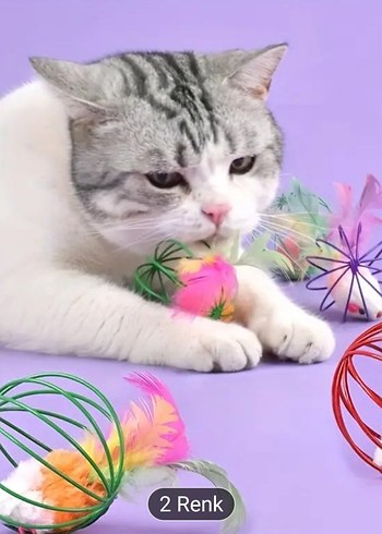 Renkli Kedi Oyuncağı Toplar - Görsel 3