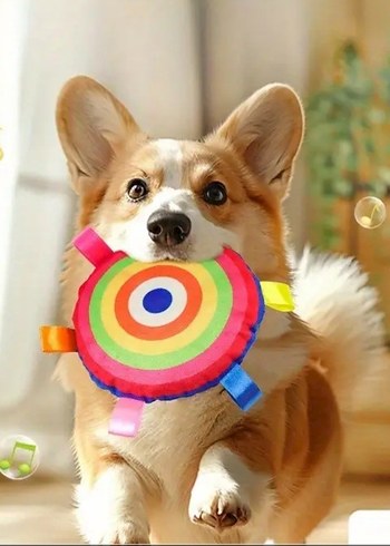 Renkli Yuvarlak Köpek Oyuncağı