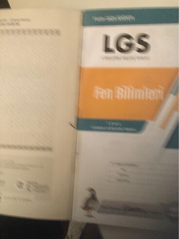 Fen bilimleri 8. Sınıf föy deneme - Görsel 5