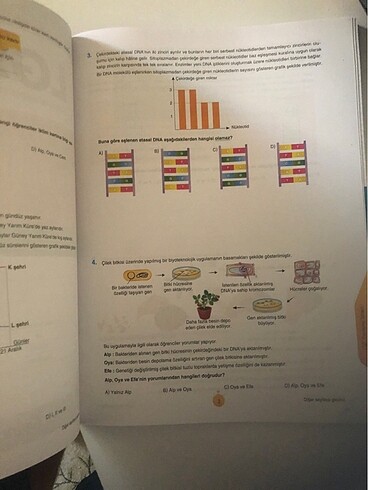 Fen bilimleri 8. Sınıf föy deneme - Görsel 4