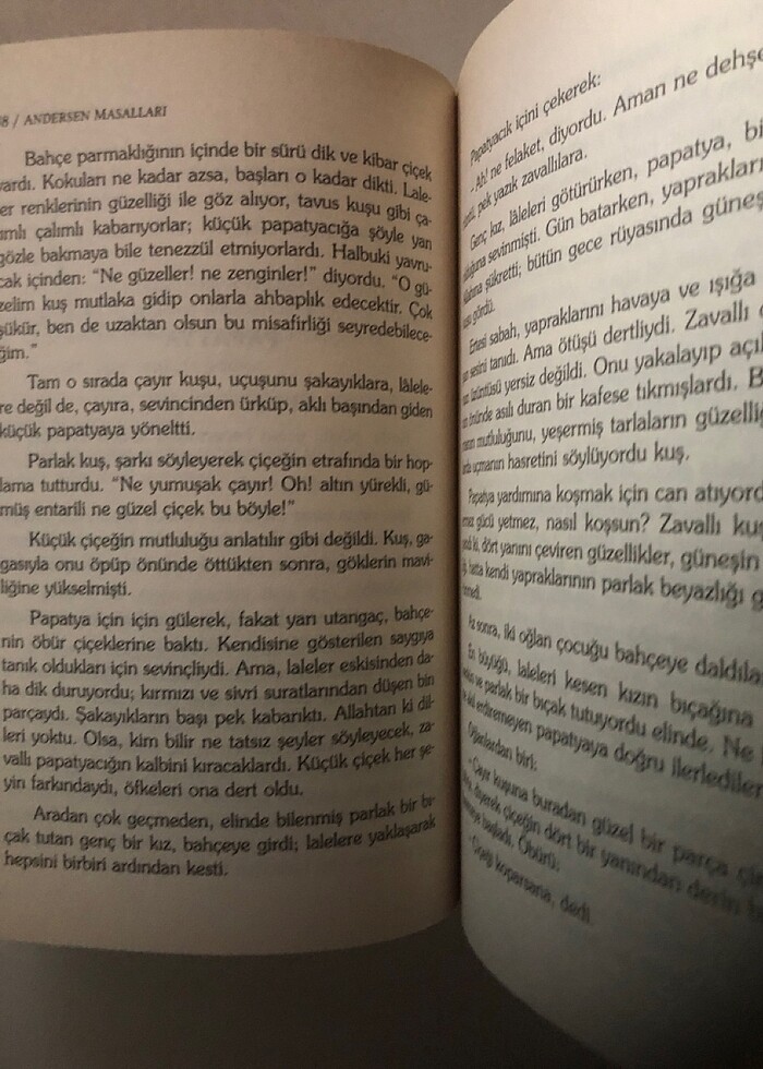 Andresan Masalları - Görsel 3