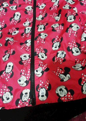Disney marka, 5..6 yaş Çocuk, İÇİ miflonlu Yağmurluk,100tl - Görsel 2