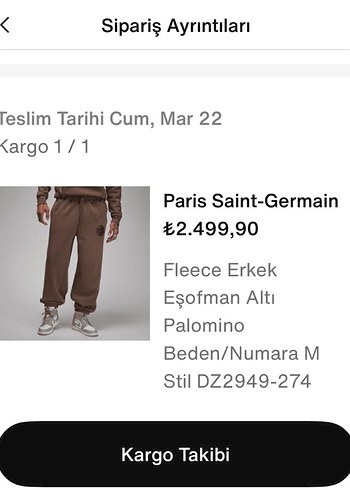 Nike Jordan Paris Eşofman Altı - Görsel 4