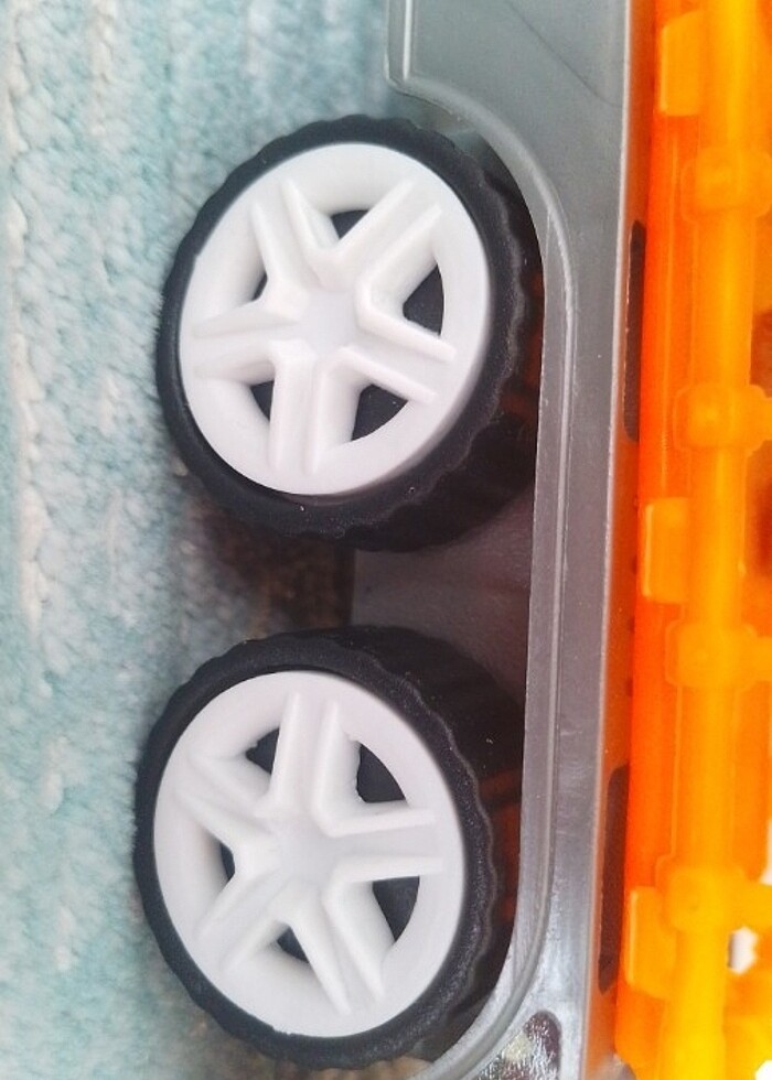 Vahşi hayvan taşıyan tır  - Görsel 5