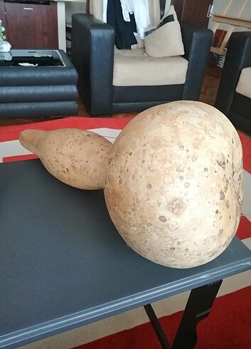  Beden ten rengi Renk Süs kabağı