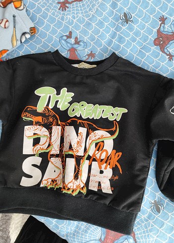 Renkli Desenli Erkek Çocuk Sweatshirt - Görsel 2