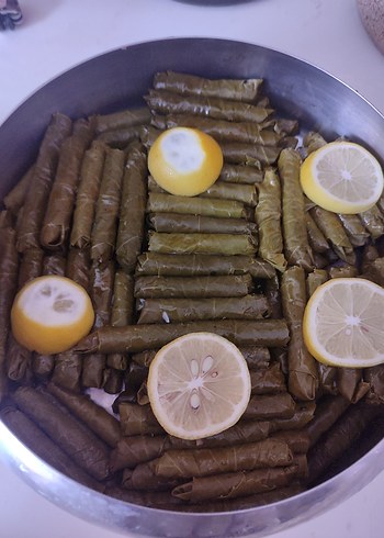 su perisi ev yemekleri - Görsel 2