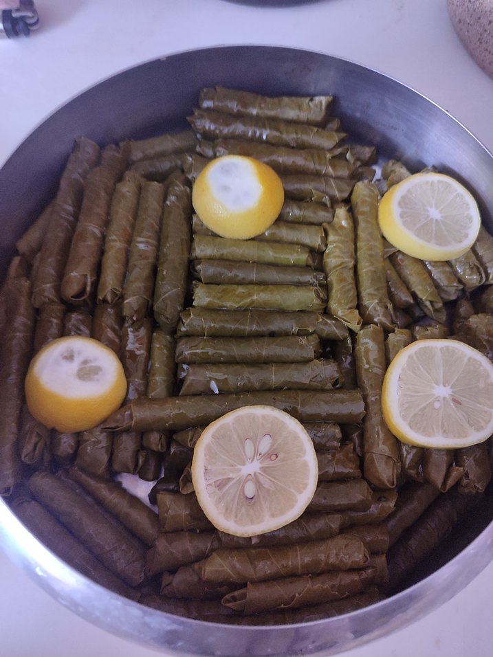 su perisi ev yemekleri - Görsel 2