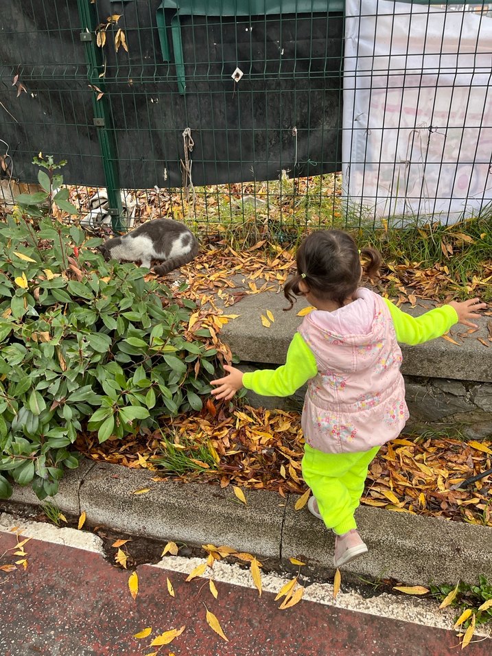 Kız Çocuk Kapüşonlu Çiçek Desenli Yelek - Görsel 4
