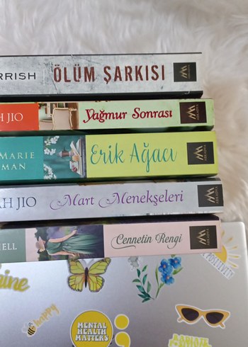 Çeşitli Roman Seti - Görsel 3