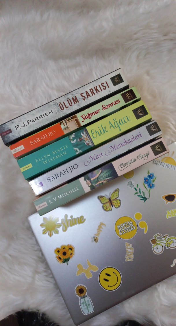 Çeşitli Roman Seti - Görsel 2