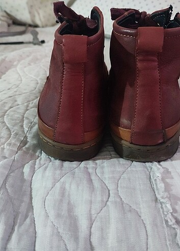 38 Beden bordo Renk Temiz bordo bot