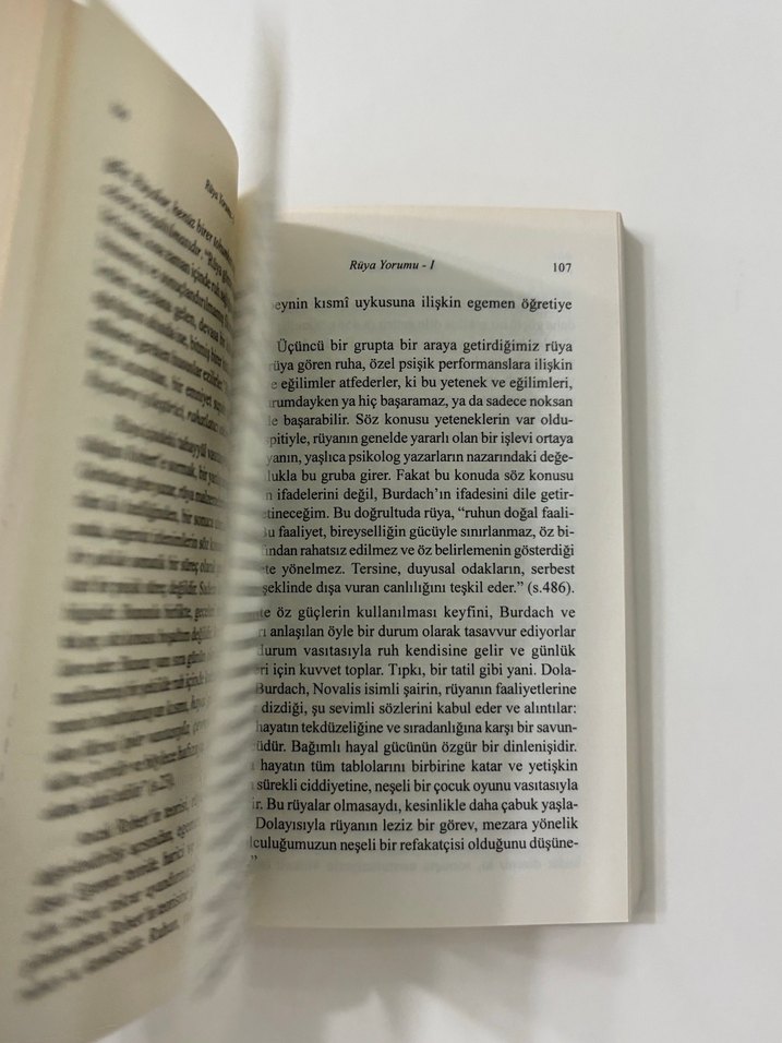 Sigmund Freud Rüya Yorumları Kitabı - Görsel 2