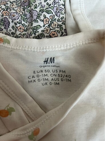 H&M 6lıkız bebek anvelop body