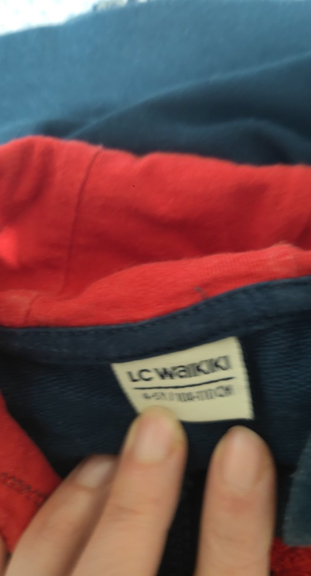 Erkek Çocuk Kapüşonlu Çok Renkli Sweatshirt - Görsel 4