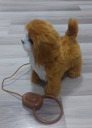 Beden Oyuncak pillion köpek