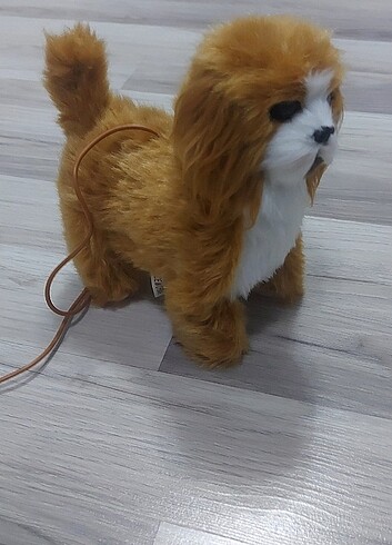 Beden Renk Oyuncak pillion köpek