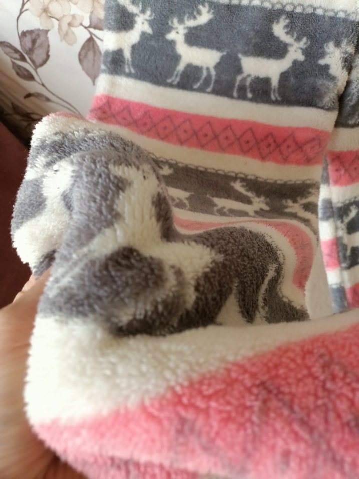 Kadın peluş pantolon - Görsel 4