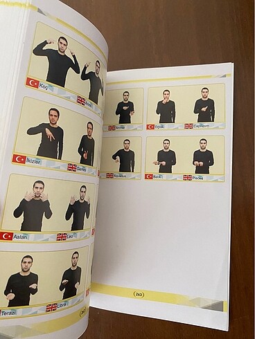  Beden Renk Kitap işaret dili resimli
