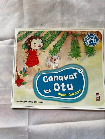 Çocuk kitap