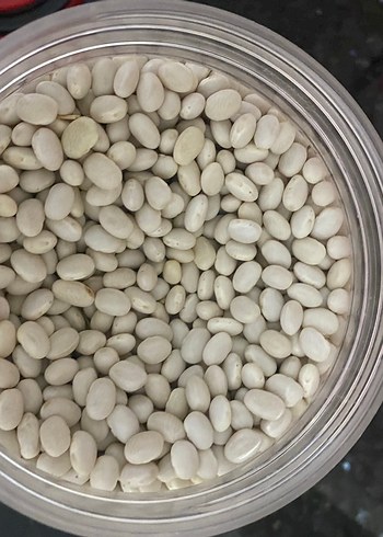 Kuru fasülye - Görsel 2