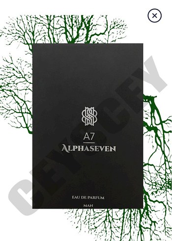 A7 ALPHASEVEN Erkek Parfümü 100 ml - Görsel 3