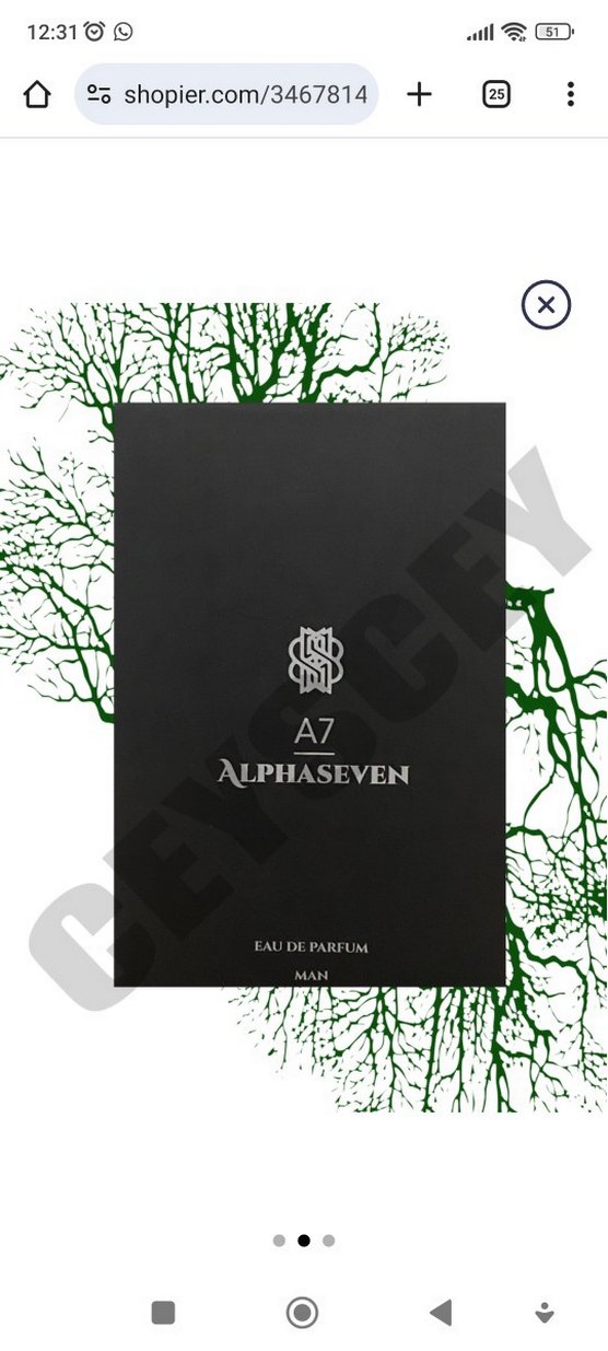 A7 ALPHASEVEN Erkek Parfümü 100 ml - Görsel 3