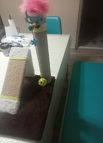 Kedi oyunu 