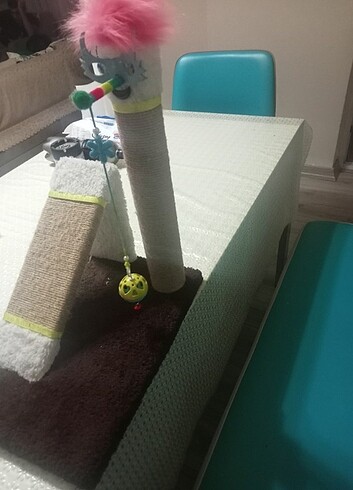 Kedi oyunu  - Görsel 3