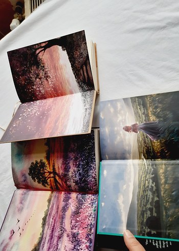 Emily Romanları Seti - 3 Kitap Ciltli - Görsel 5