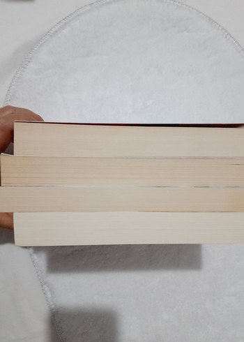 4 Roman Seti (tamamının fiyatıdır ) - Görsel 2