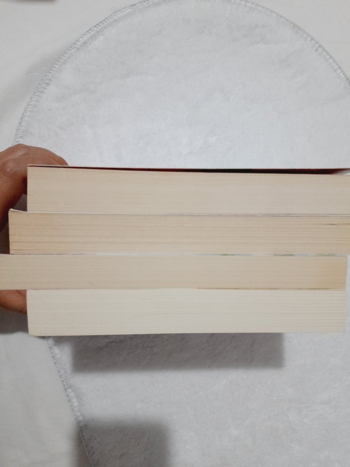 4 Roman Seti (tamamının fiyatıdır ) - Görsel 2