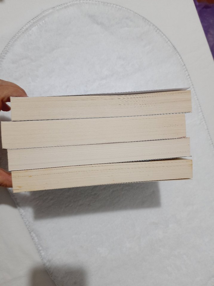 4 Roman Kitabı Seti - Görsel 2