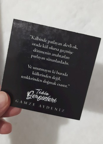 Tablo Gezginleri (Ciltli ve Yan Boyamalı) - Görsel 2