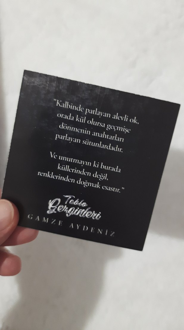 Tablo Gezginleri (Ciltli ve Yan Boyamalı) - Görsel 2