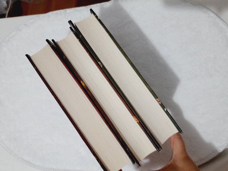 Aşiyan Roman Serisi Hümeyra (3 Kitap) / CİLTLİ - Görsel 4