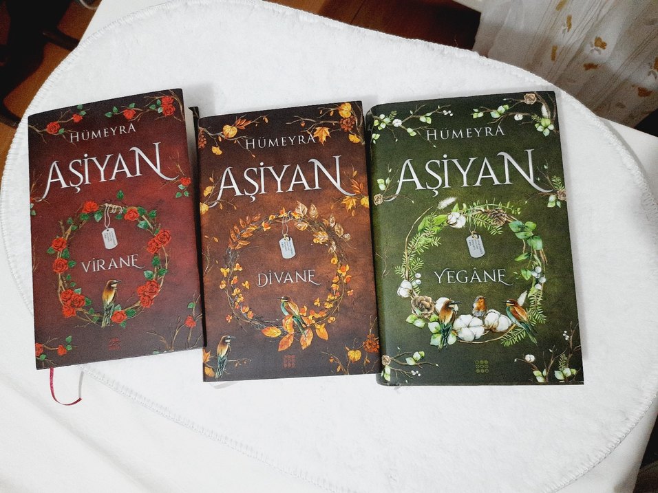 Aşiyan Roman Serisi Hümeyra (3 Kitap) / CİLTLİ - Görsel 2