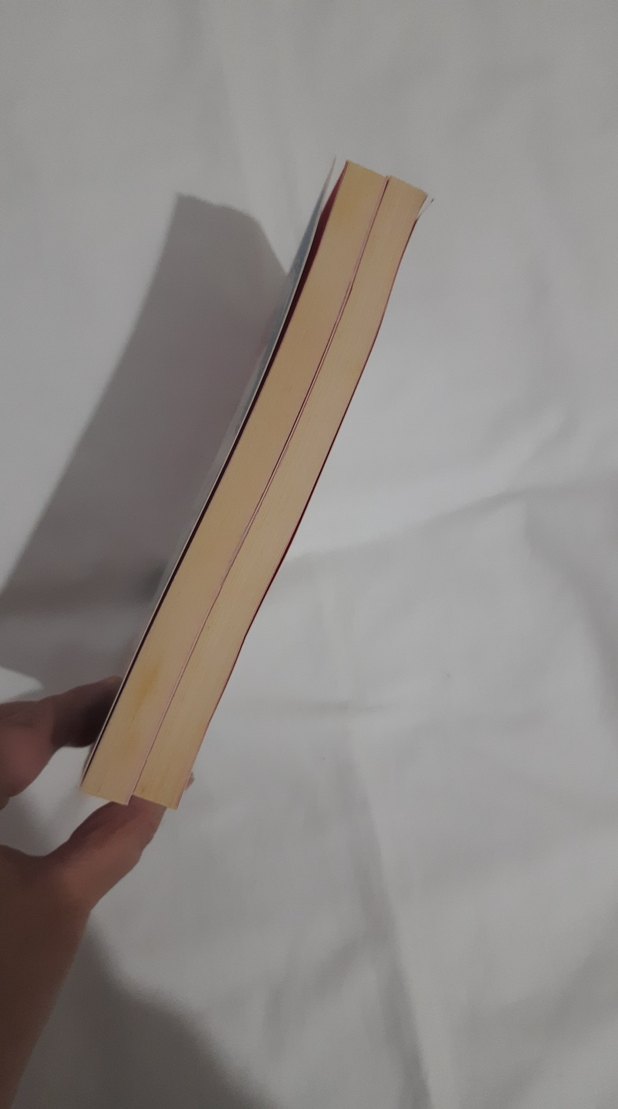 İkili Kitap Seti - Görsel 2