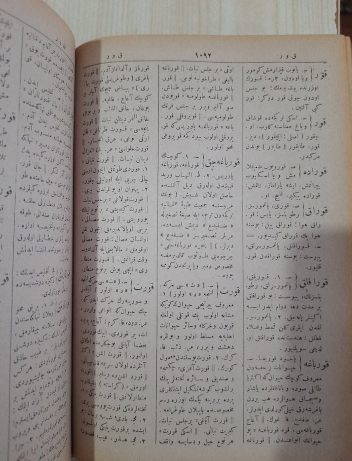 Kamus-ı Türki (2 cilt bir arada) - Görsel 2