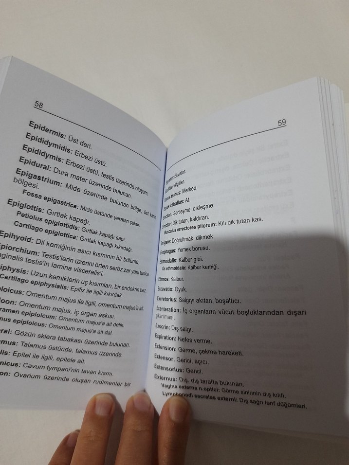 Anatomi Terimler Sözlüğü - Prof. Dr. Nejdet Dursun - Görsel 2