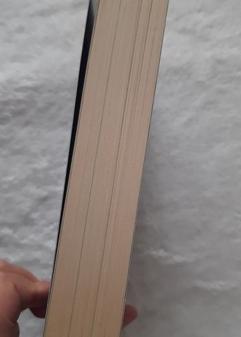 Jane Steele - Lyndsay Faye - Görsel 3